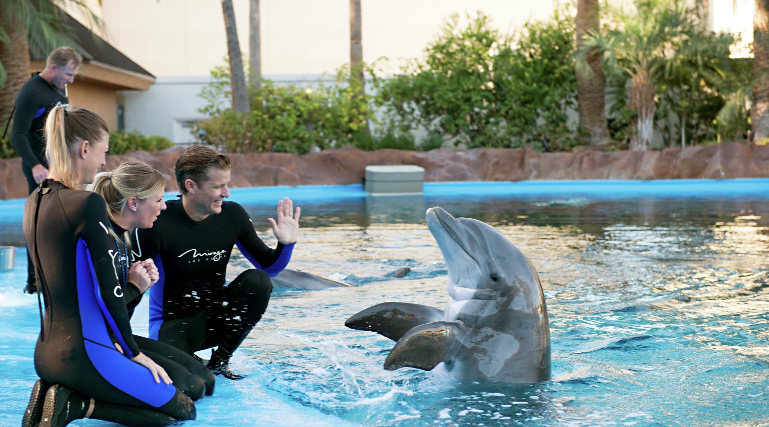 Siegfried & Roy's Secret Garden and Dolphin Habitat Las Vegas